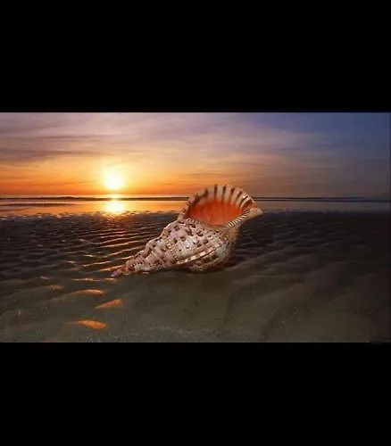 Casa Simona * 마르살라